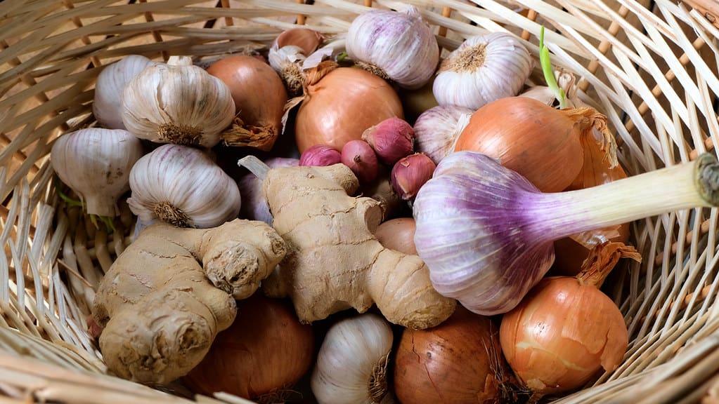 Vanillerostbraten 3 Knoblauch Sorten