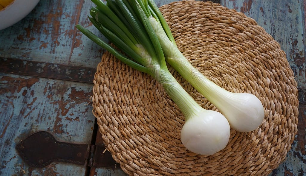 8 einzigartige Spargelrezepte! 3 Frühlingszwiebel