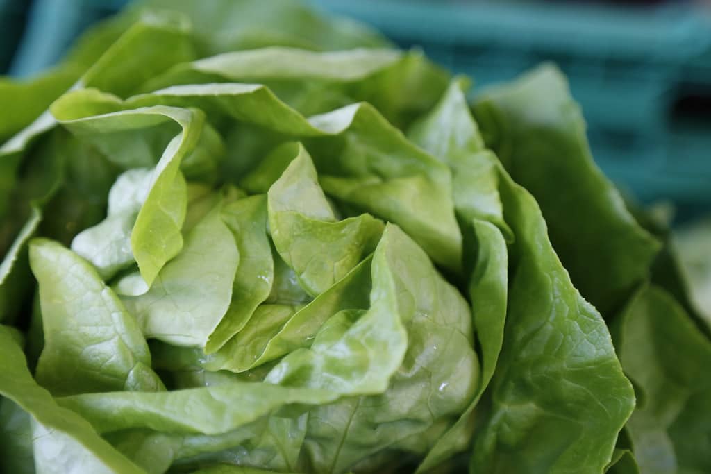 22 Traditionelle knackige Salate 2 knackig