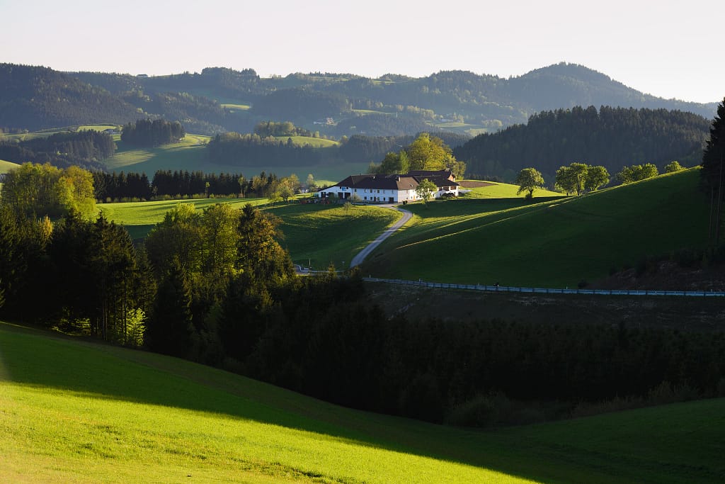 Mühlviertler Speckknödel 4 Mühlviertel