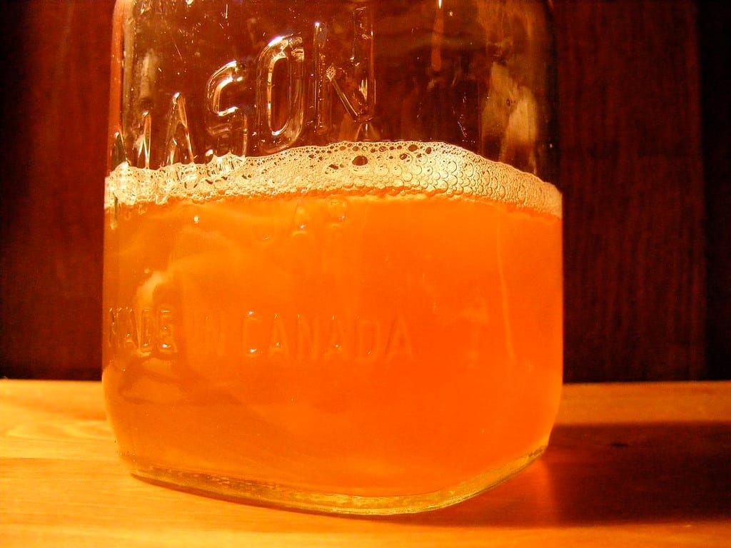 Das Fermentieren von Lebensmitteln 1 Kombucha fermentiert