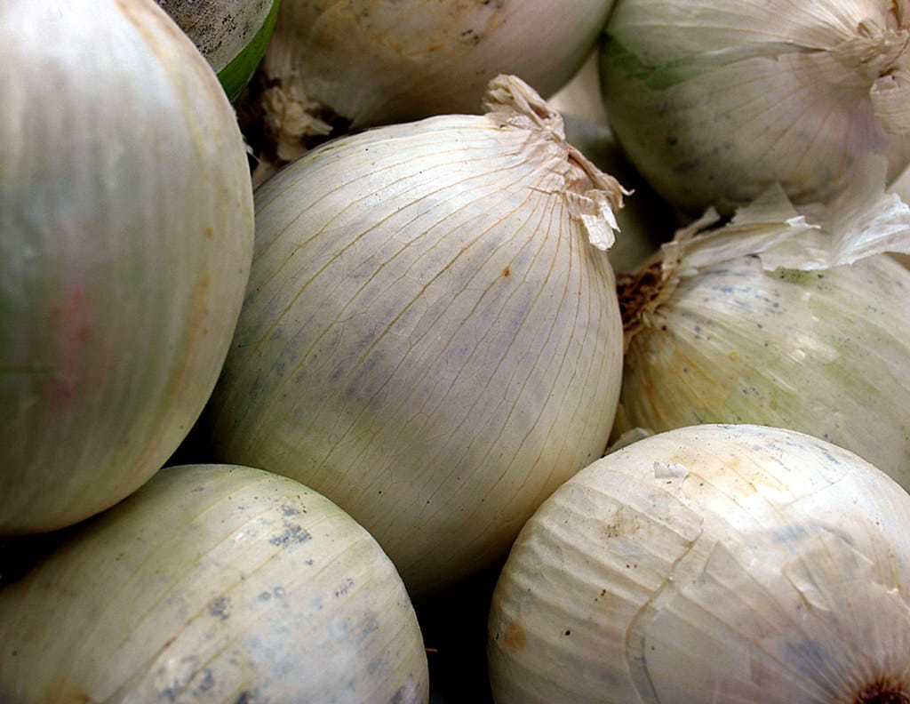 Französische Zwiebelsuppe 2 Zwiebeln