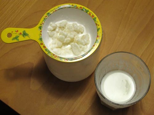 Baltische Küche 2 Kefir