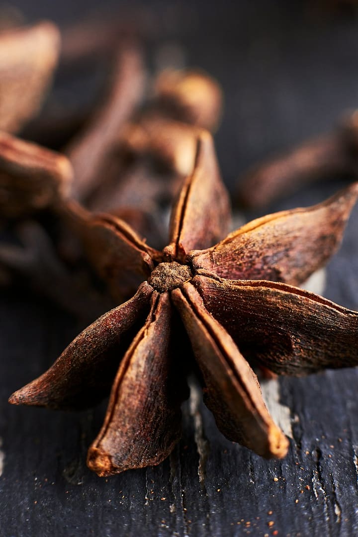 Anisbögen 1 closeup photo of brown star anise, anisbögen