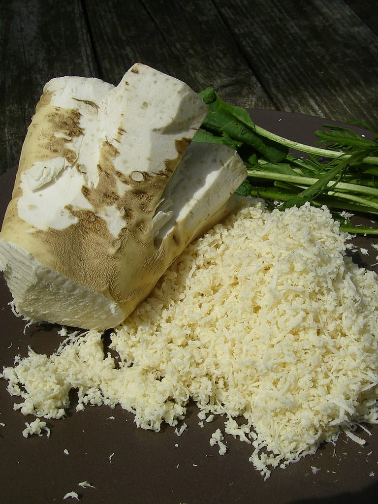 Kren-Tascherl mit Kohlrabigemüse 3 kren-tascherl
